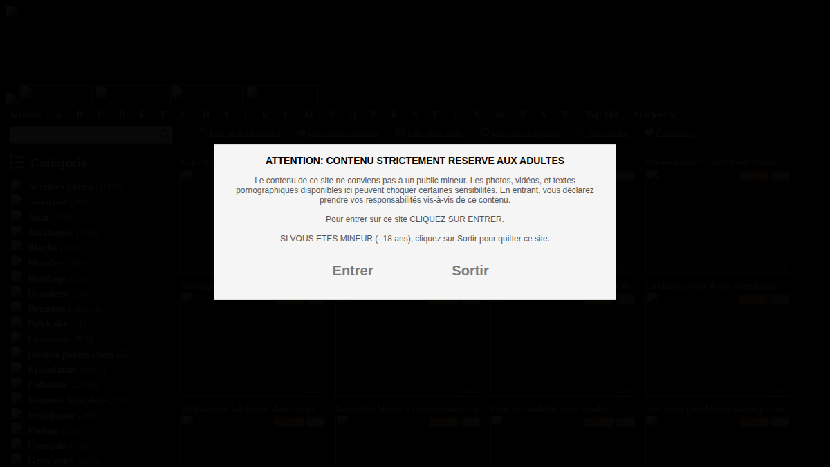 AbsoluPorn · Aperçu du site