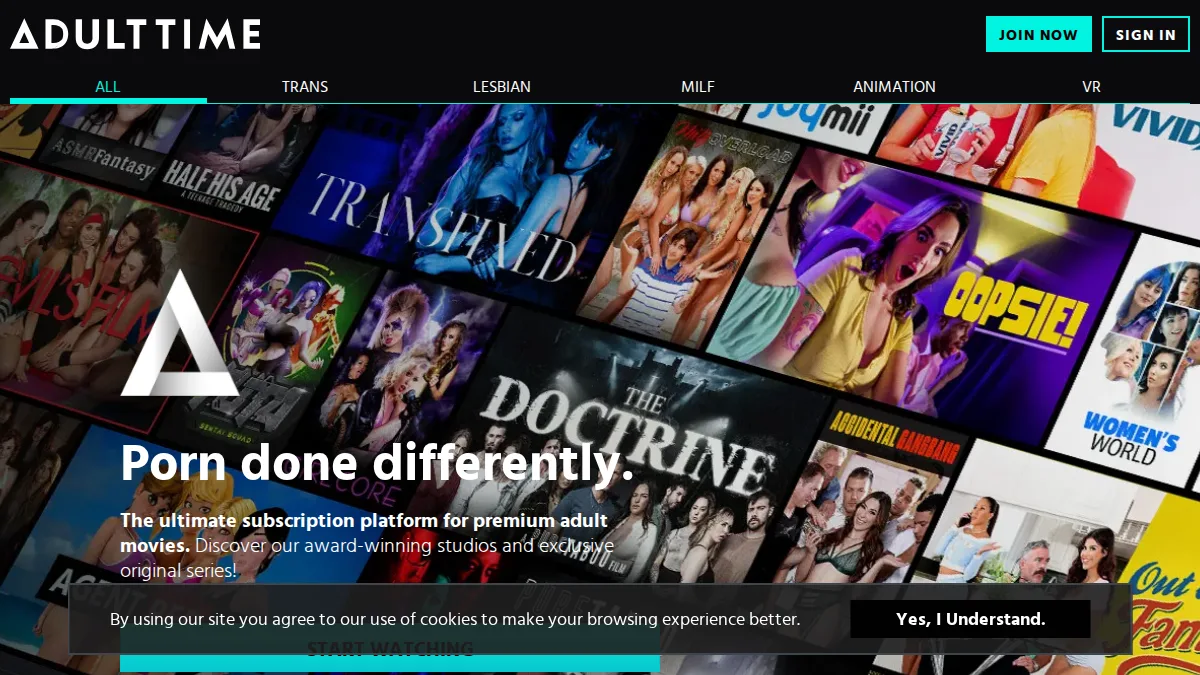 AdultTime · Aperçu du site