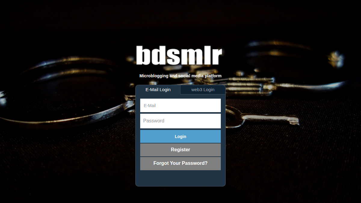 Bdsmlr · Aperçu du site