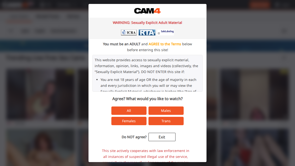 Cam4 · Aperçu du site