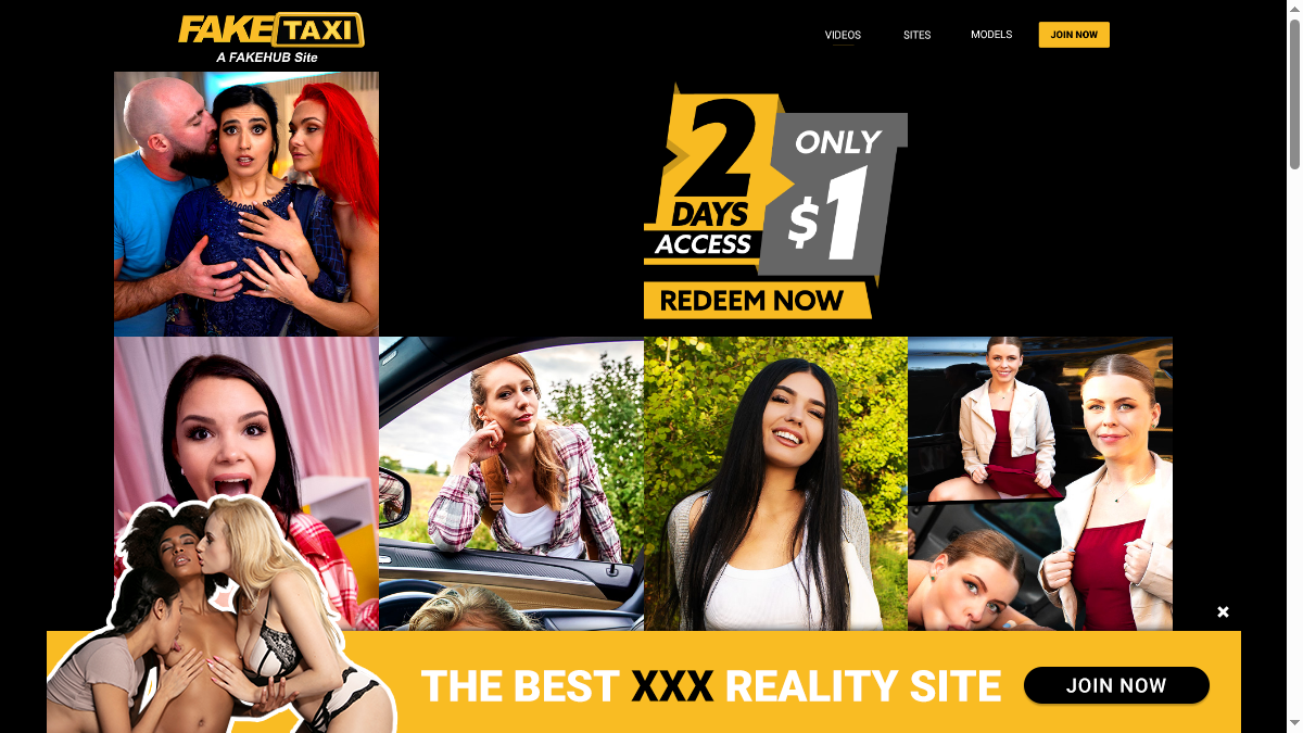 Fake Taxi · Aperçu du site
