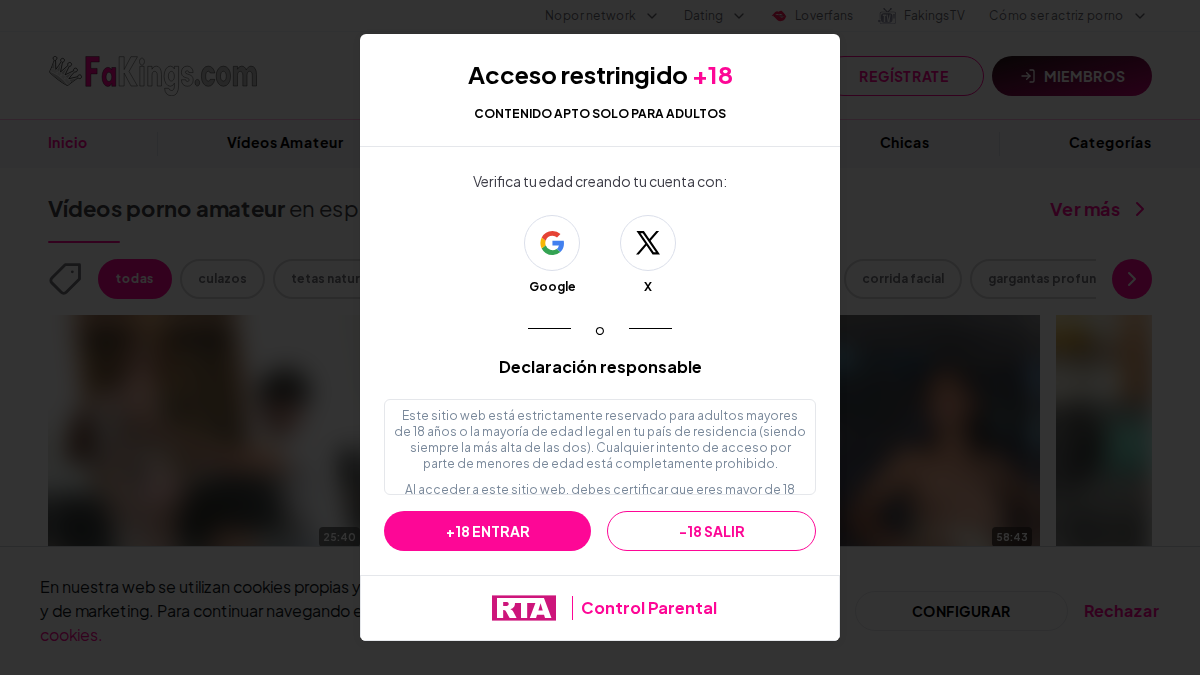 FAKings · Aperçu du site