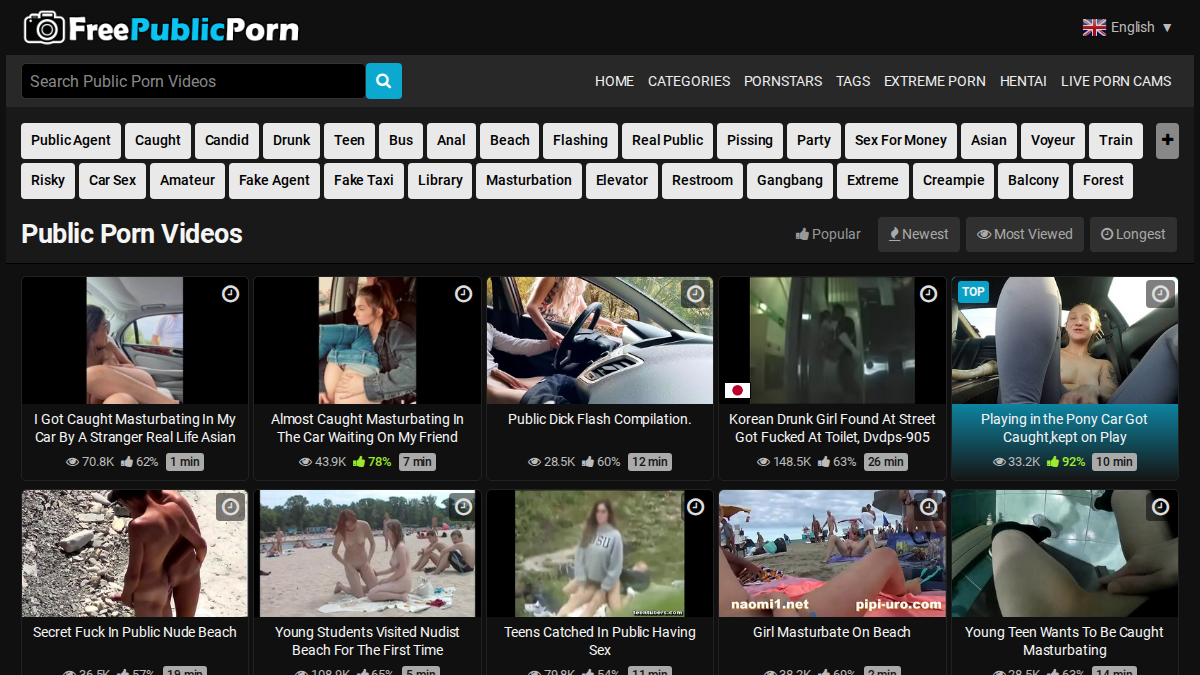 FreePublicPorn · Aperçu du site