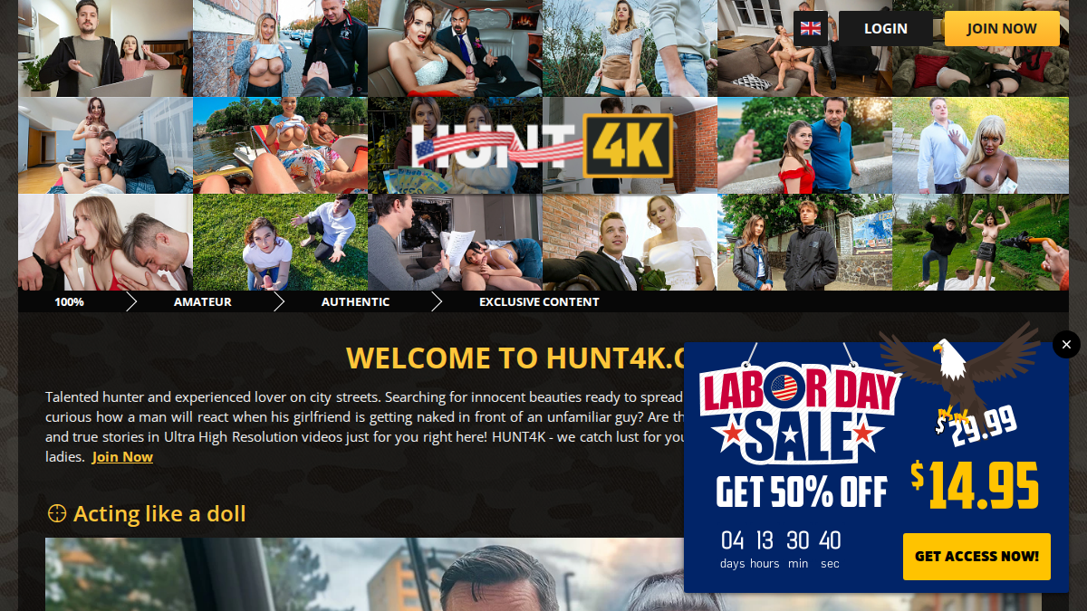 Hunt4K · Aperçu du site