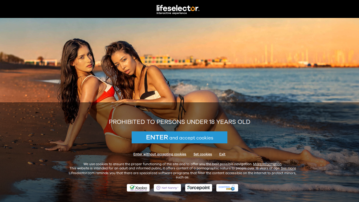 LifeSelector · Aperçu du site