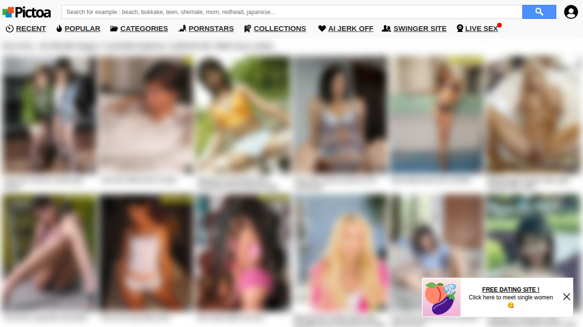 Pictoa · Aperçu du site