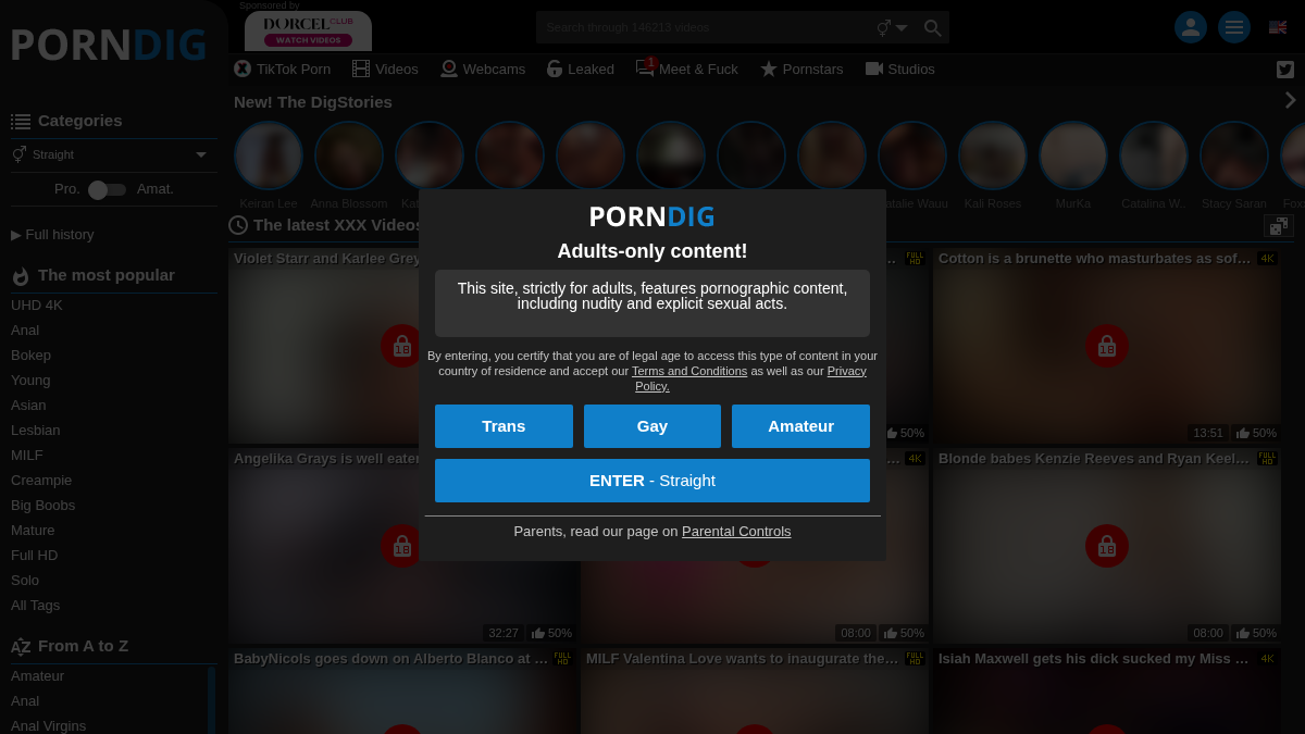 PornDig · Aperçu du site