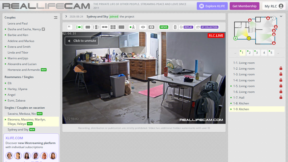 RealLifeCam · Aperçu du site