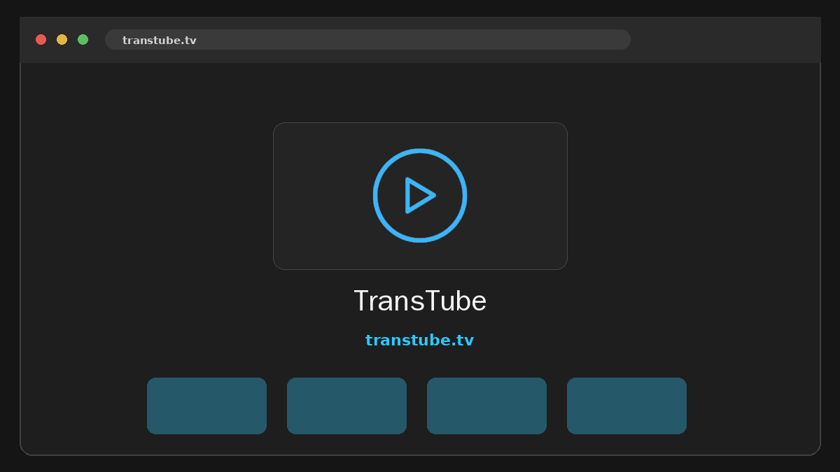 TransTube · Aperçu du site