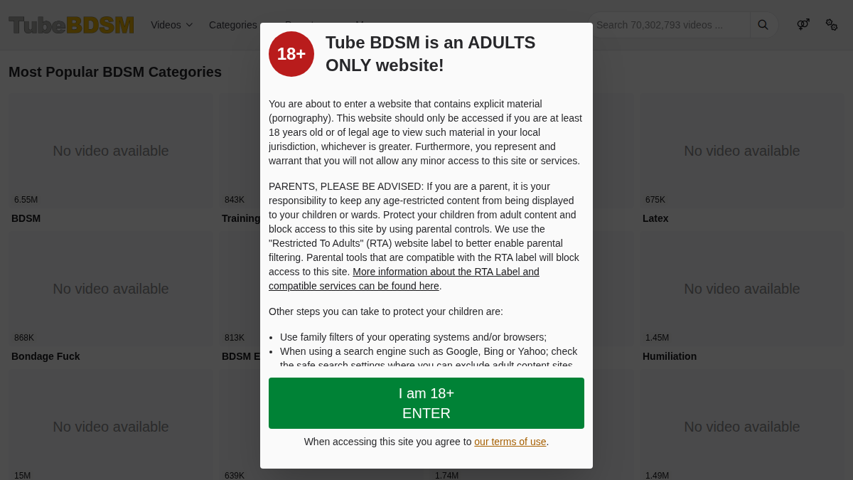 TubeBDSM · Aperçu du site